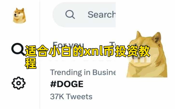 适合小白的xnl币投资教程插图 适合小白的xnl币投资教程插图