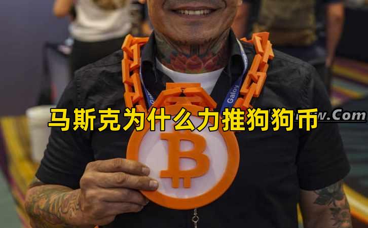 马斯克为什么力推狗狗币插图 马斯克为什么力推狗狗币插图