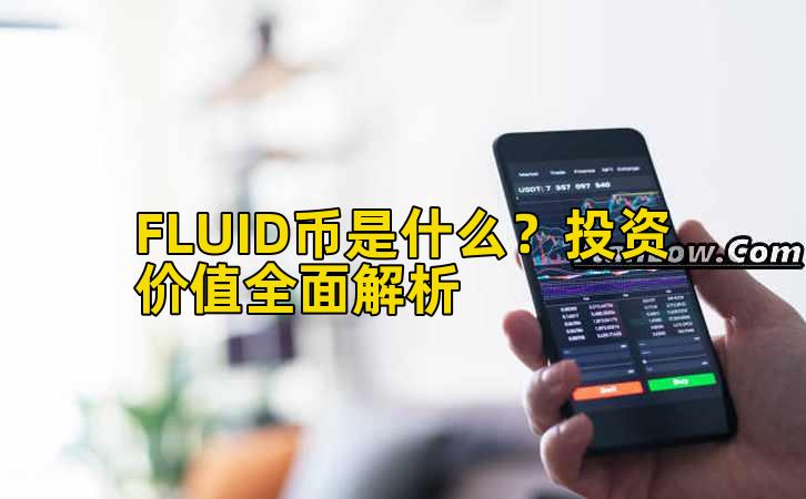 FLUID币是什么？投资价值全面解析插图