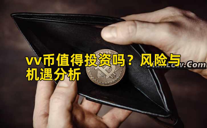 vv币值得投资吗?风险与机遇分析插图 vv币值得投资吗?风险与机遇分析插图
