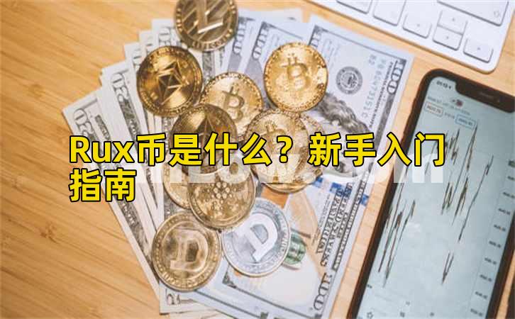 Rux币是什么？新手入门指南插图