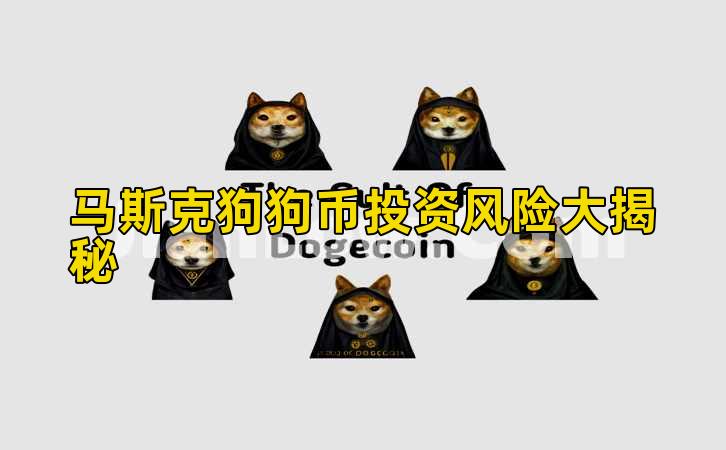 马斯克狗狗币投资风险大揭秘插图
