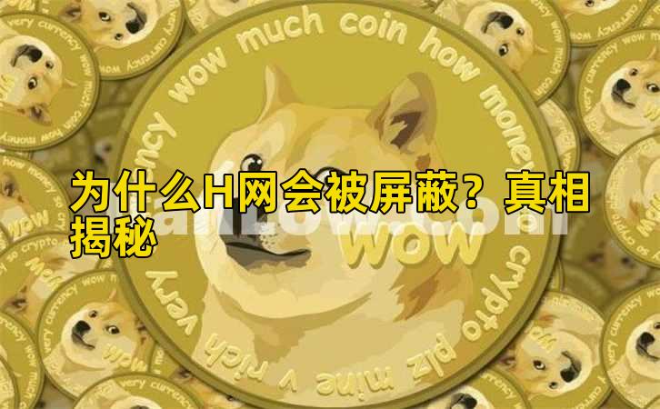 为什么H网会被屏蔽？真相揭秘插图