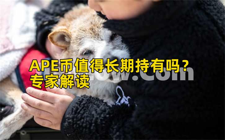 APE币值得长期持有吗？专家解读插图