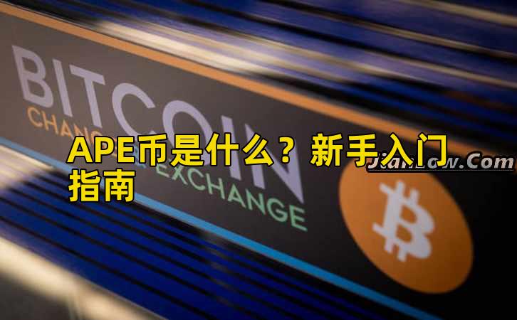 APE币是什么？新手入门指南插图