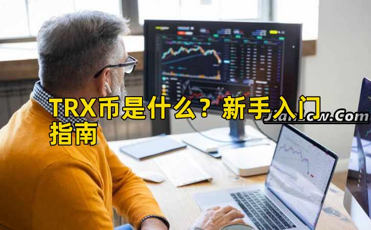 TRX币是什么？新手入门指南插图