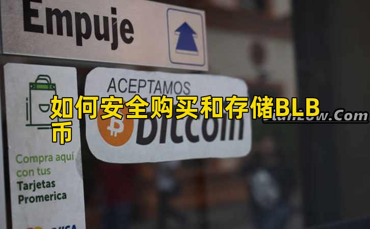 如何安全购买和存储BLB币插图