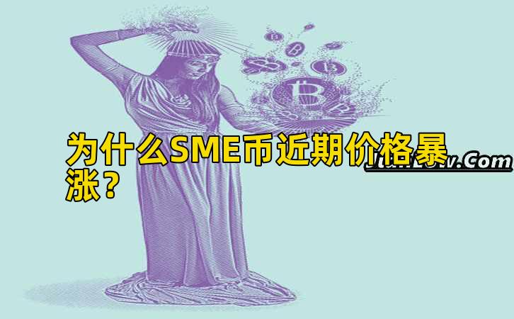 为什么SME币近期价格暴涨?插图 为什么SME币近期价格暴涨?插图