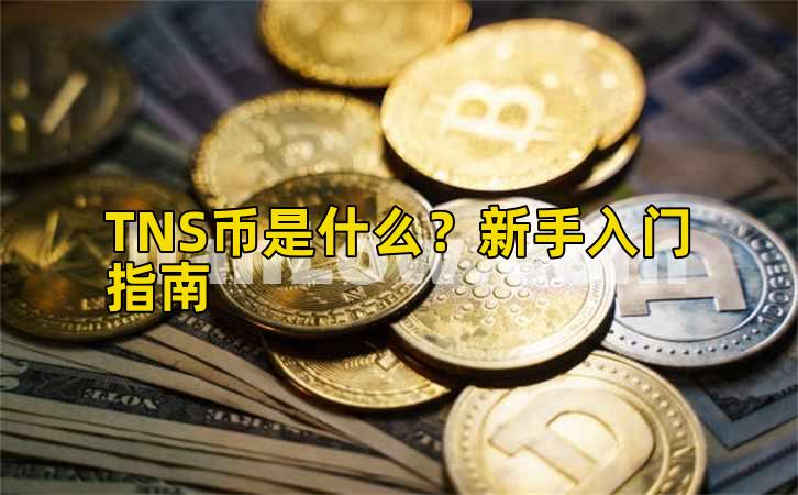 TNS币是什么？新手入门指南插图