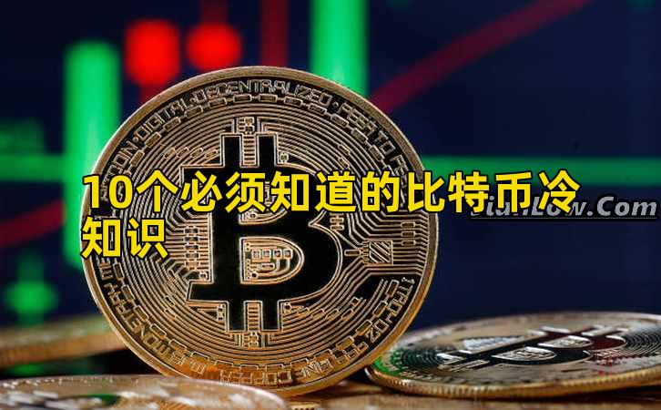 10个必须知道的比特币冷知识插图