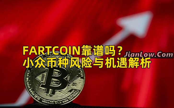 FARTCOIN靠谱吗？小众币种风险与机遇解析插图