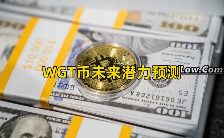 WGT币未来潜力预测插图