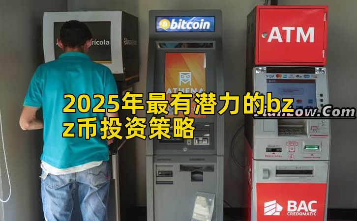 2025年最有潜力的bzz币投资策略插图