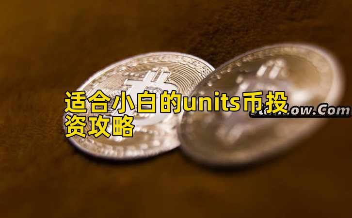 适合小白的units币投资攻略插图
