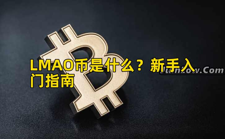 LMAO币是什么？新手入门指南插图