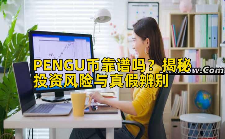 PENGU币靠谱吗?揭秘投资风险与真假辨别插图 PENGU币靠谱吗?揭秘投资风险与真假辨别插图