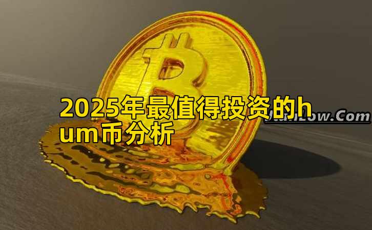 2025年最值得投资的hum币分析插图 2025年最值得投资的hum币分析插图