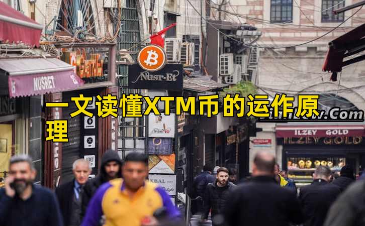 一文读懂XTM币的运作原理插图