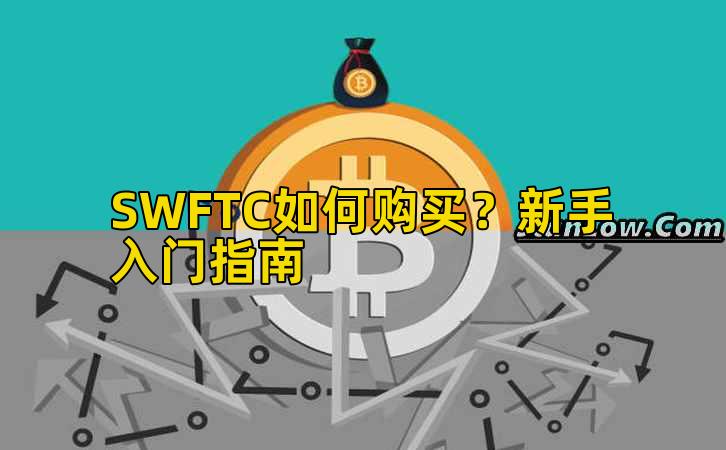 SWFTC如何购买？新手入门指南插图