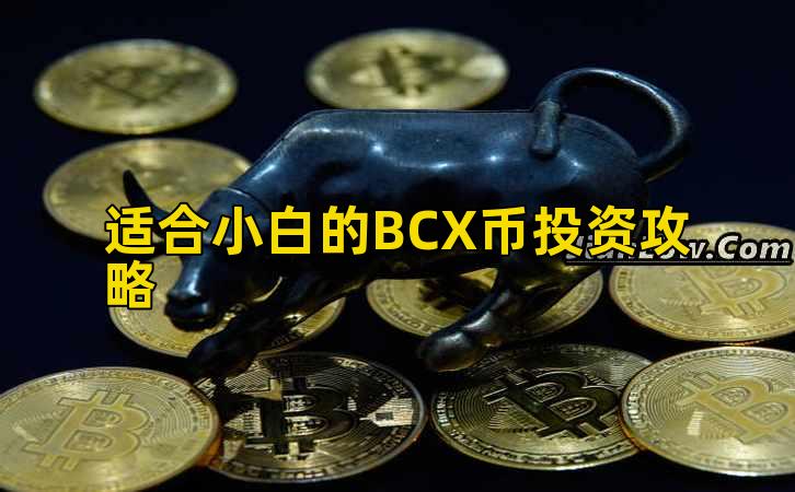 适合小白的BCX币投资攻略插图 适合小白的BCX币投资攻略插图