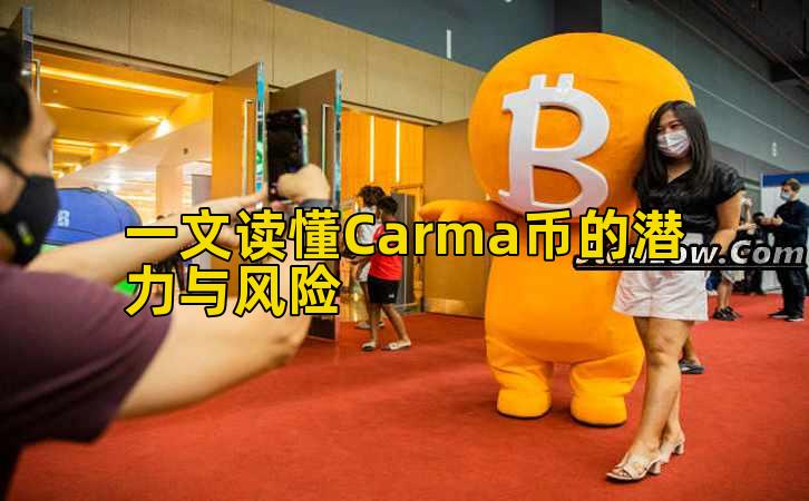 一文读懂Carma币的潜力与风险插图 一文读懂Carma币的潜力与风险插图