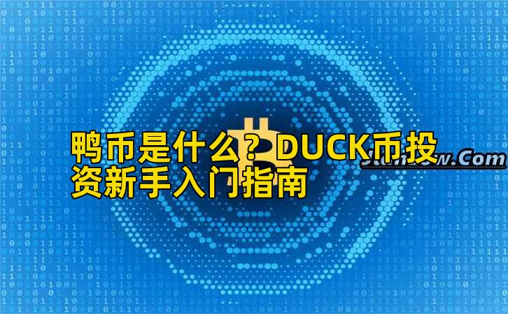 鸭币是什么?DUCK币投资新手入门指南插图 鸭币是什么?DUCK币投资新手入门指南插图