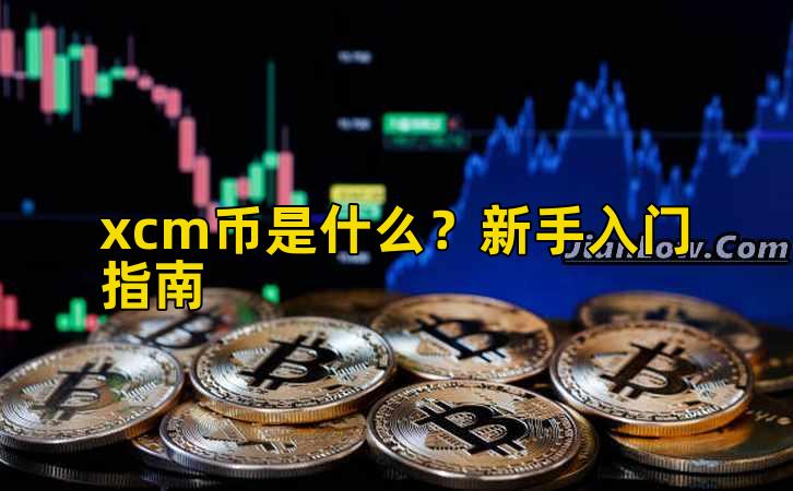 xcm币是什么？新手入门指南插图