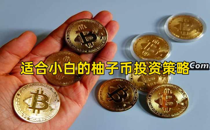 适合小白的柚子币投资策略插图