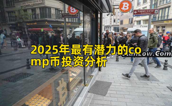 2025年最有潜力的comp币投资分析插图