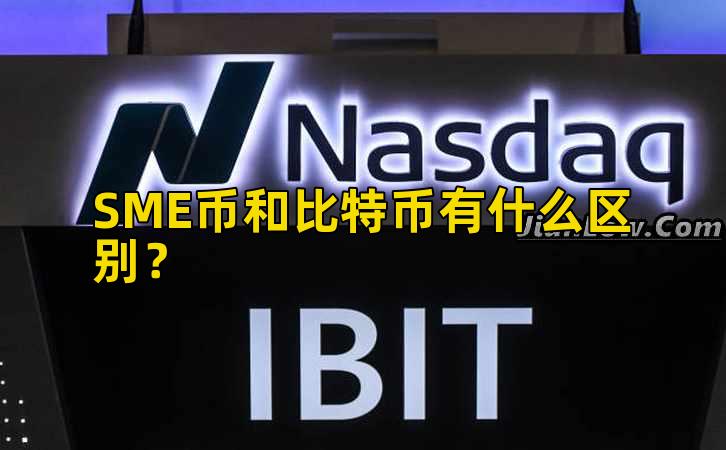 SME币和比特币有什么区别？插图