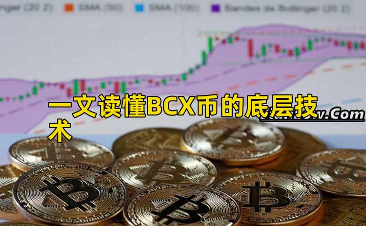 一文读懂BCX币的底层技术插图 一文读懂BCX币的底层技术插图