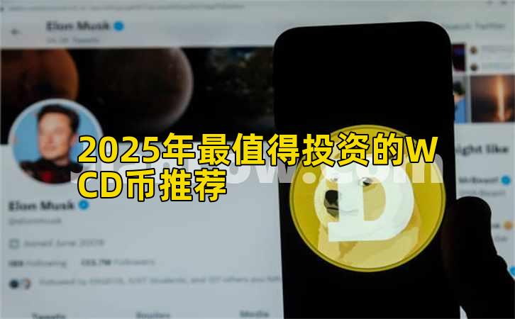2025年最值得投资的WCD币推荐插图