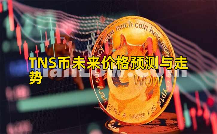 TNS币未来价格预测与走势插图 TNS币未来价格预测与走势插图