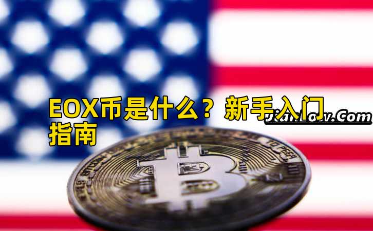 EOX币是什么？新手入门指南插图