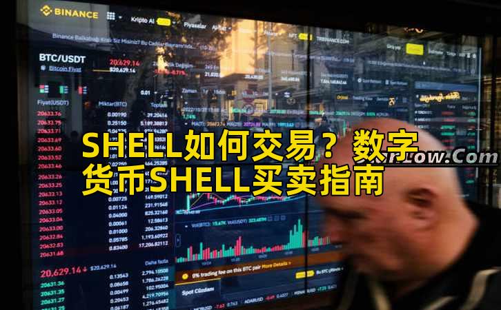 SHELL如何交易？数字货币SHELL买卖指南插图