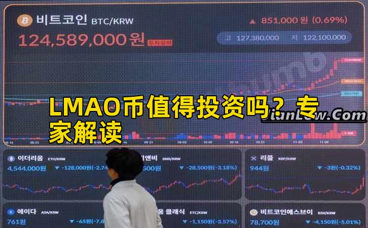 LMAO币值得投资吗?专家解读插图 LMAO币值得投资吗?专家解读插图