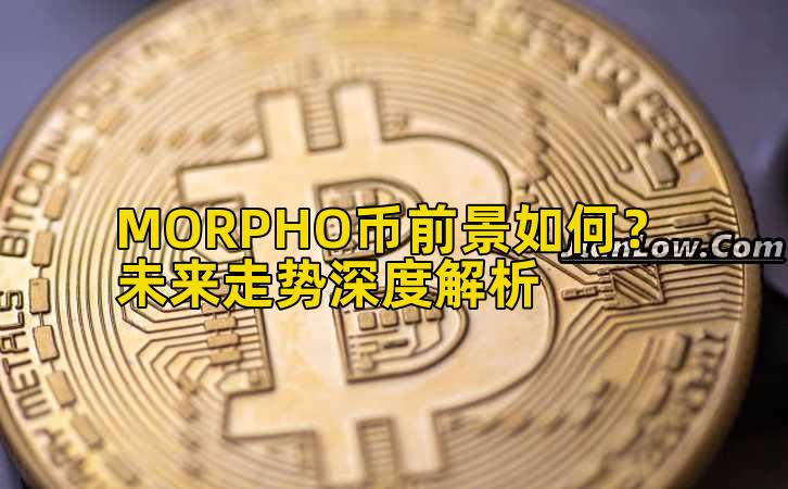 MORPHO币前景如何？未来走势深度解析插图