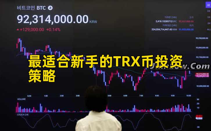 最适合新手的TRX币投资策略插图