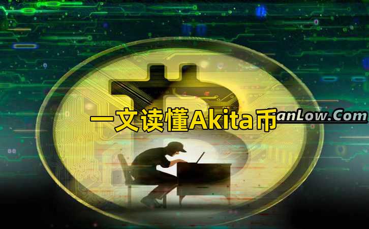 一文读懂Akita币插图