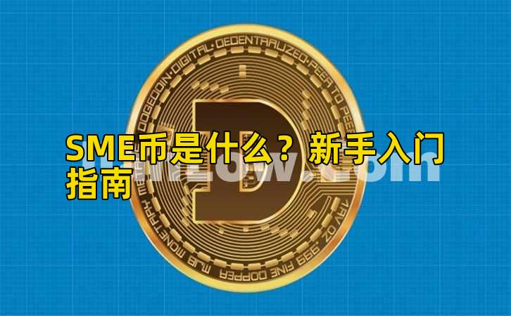 SME币是什么？新手入门指南插图