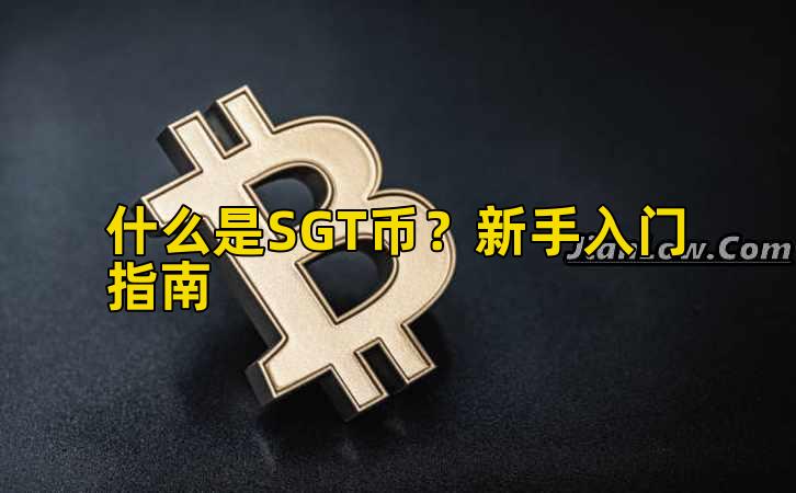 什么是SGT币?新手入门指南插图 什么是SGT币?新手入门指南插图