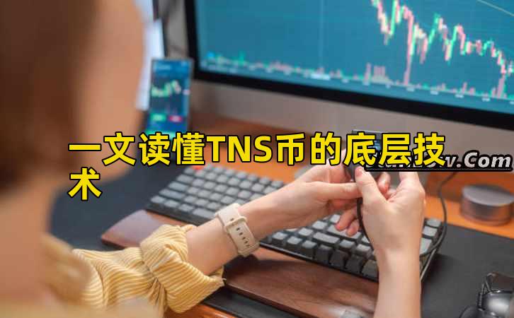 一文读懂TNS币的底层技术插图 一文读懂TNS币的底层技术插图