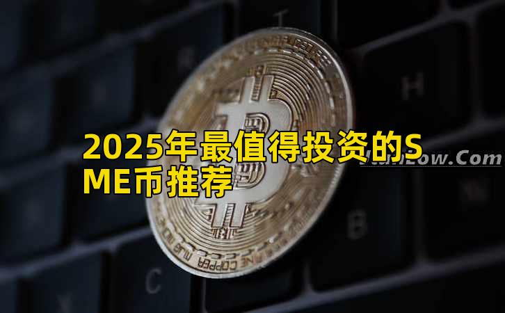 2025年最值得投资的SME币推荐插图