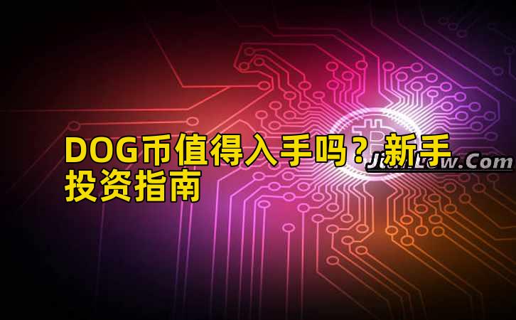 DOG币值得入手吗?新手投资指南插图 DOG币值得入手吗?新手投资指南插图