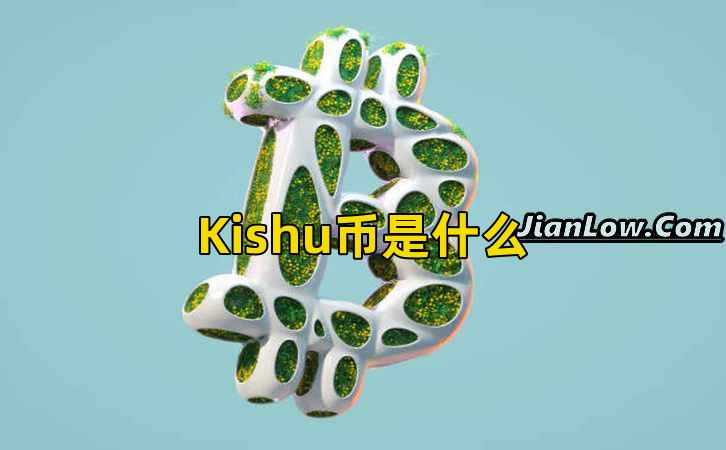Kishu币是什么插图