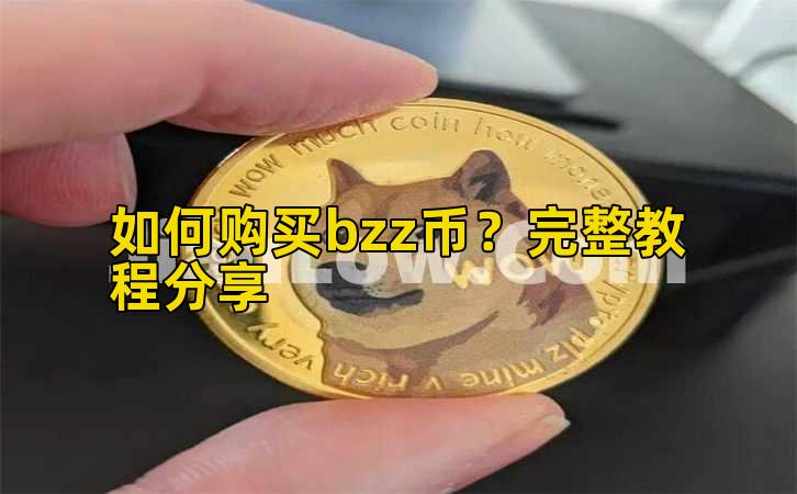 如何购买bzz币？完整教程分享插图