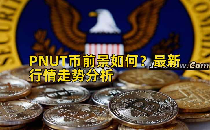 PNUT币前景如何？最新行情走势分析插图