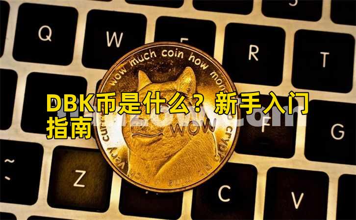 DBK币是什么？新手入门指南插图
