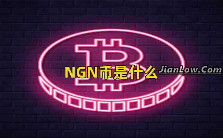 NGN币是什么插图