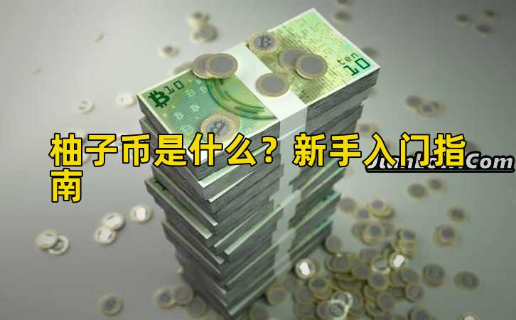 柚子币是什么？新手入门指南插图